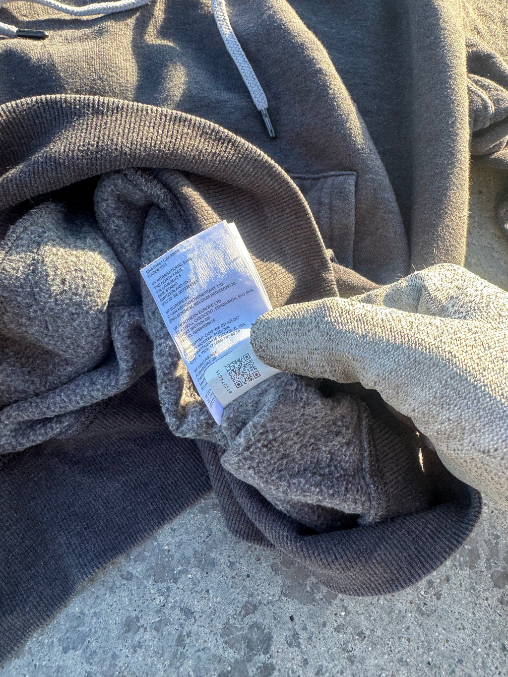 HOODIE THE NORTH FACE BIG LOGO