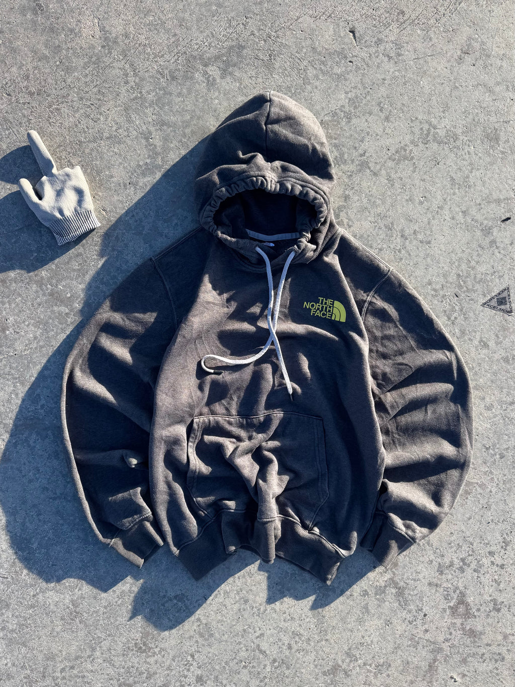 HOODIE THE NORTH FACE BIG LOGO