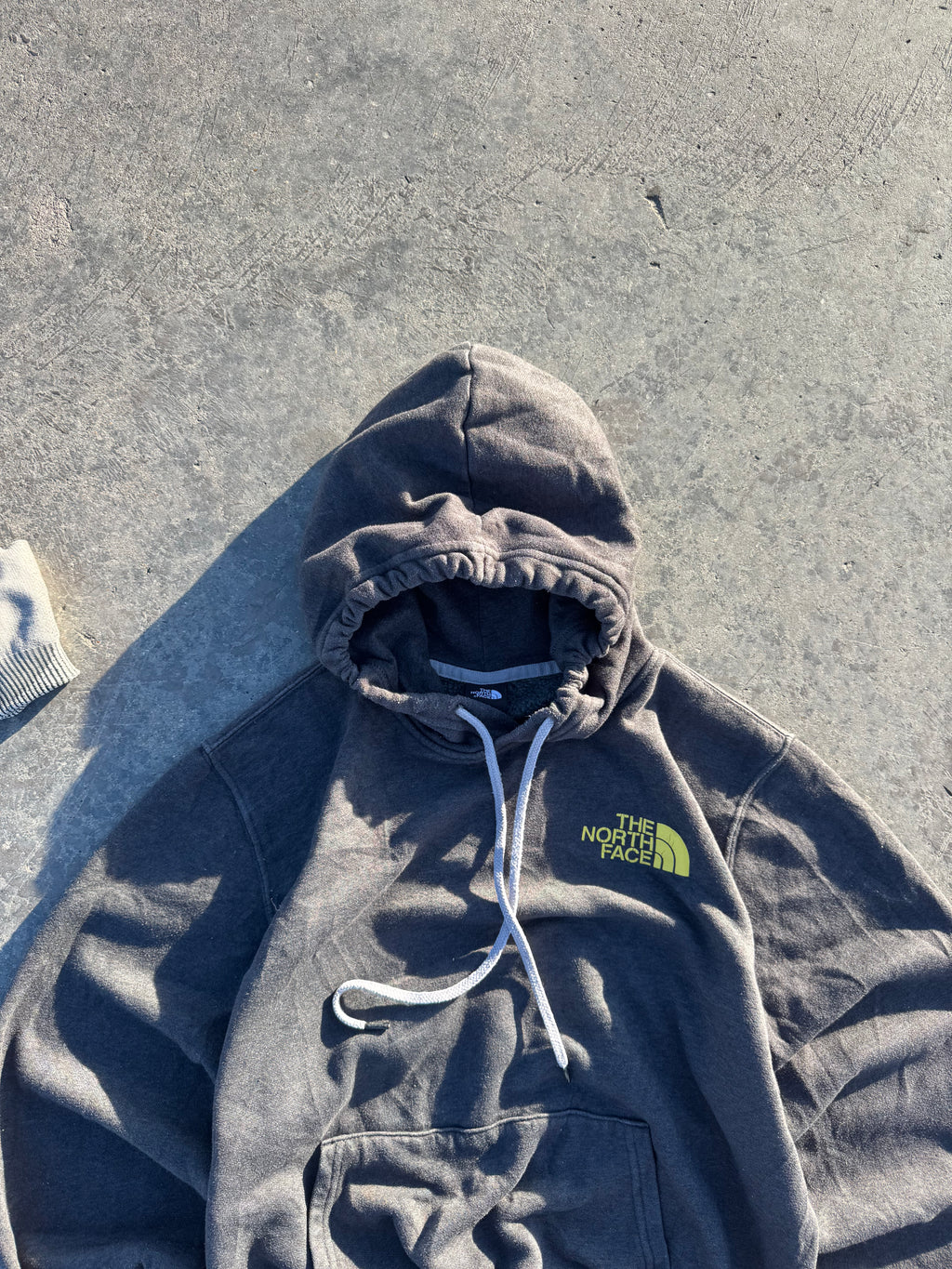 HOODIE THE NORTH FACE BIG LOGO