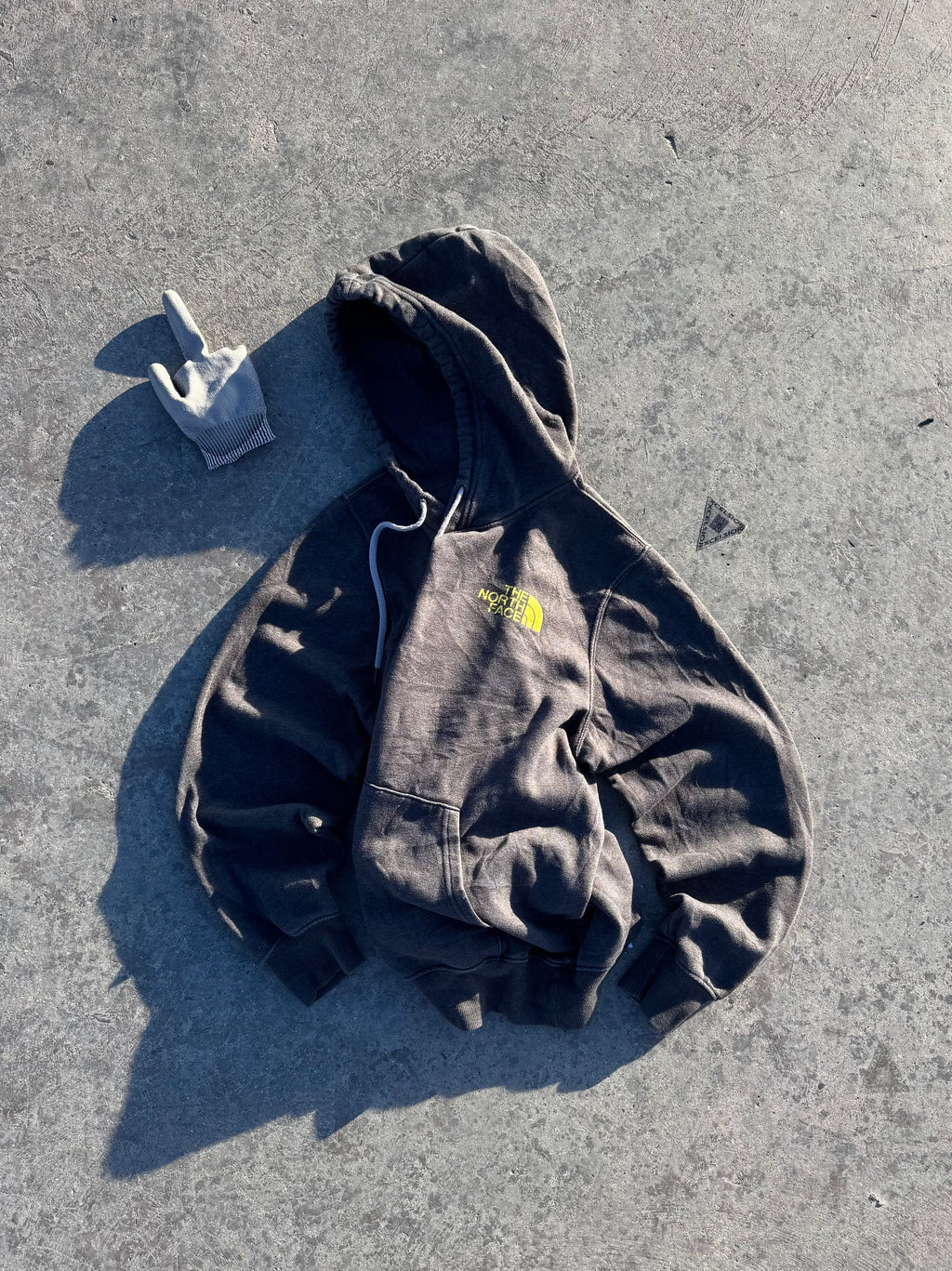 HOODIE THE NORTH FACE BIG LOGO