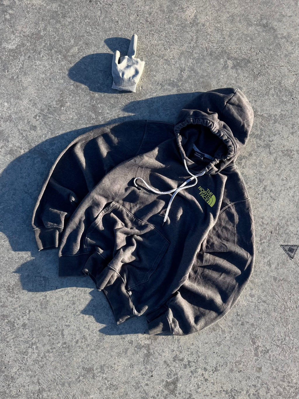 HOODIE THE NORTH FACE BIG LOGO