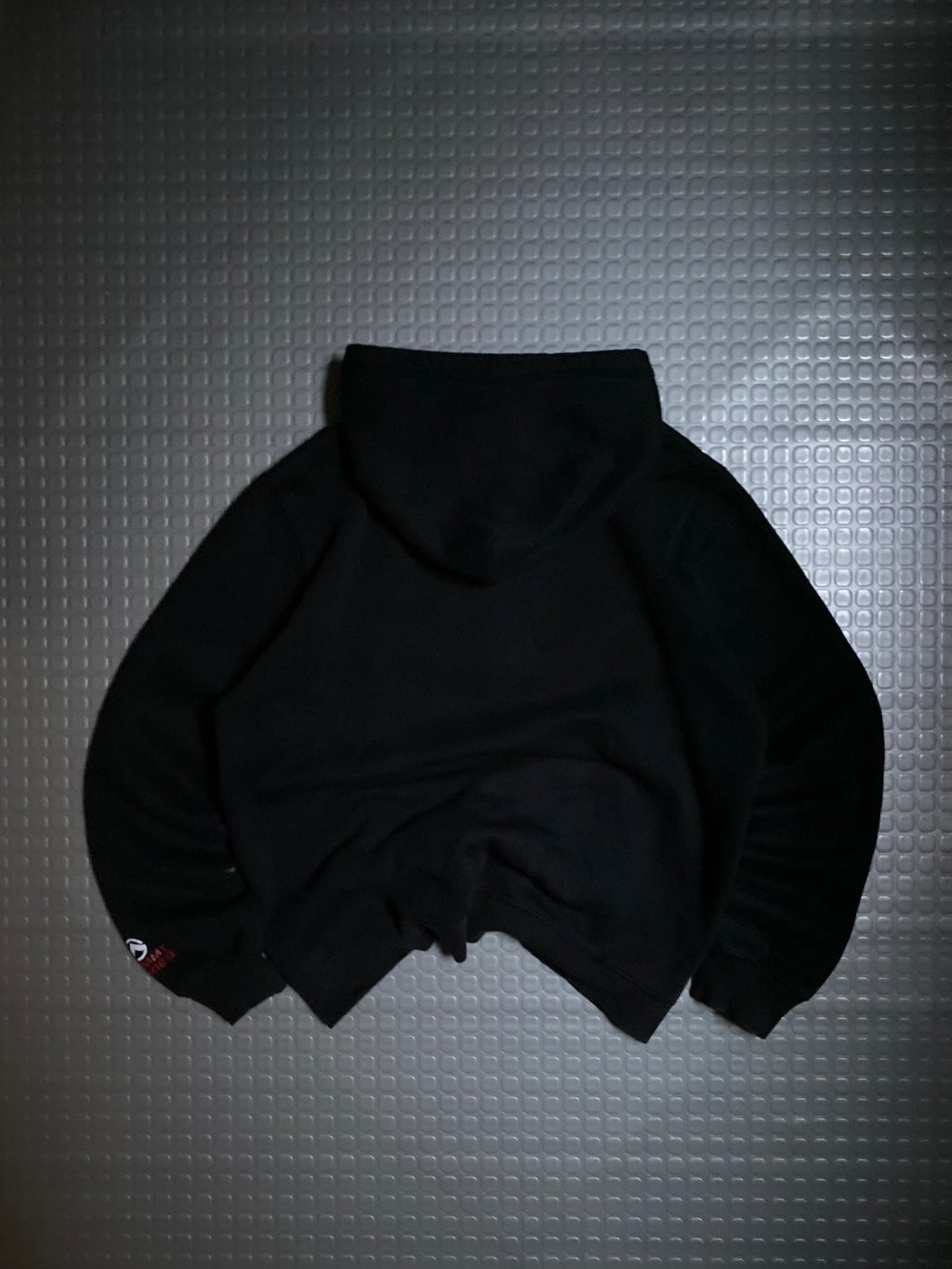 HOODIE BIG LOGO THE NORT FACE SUMMT SERIES OG