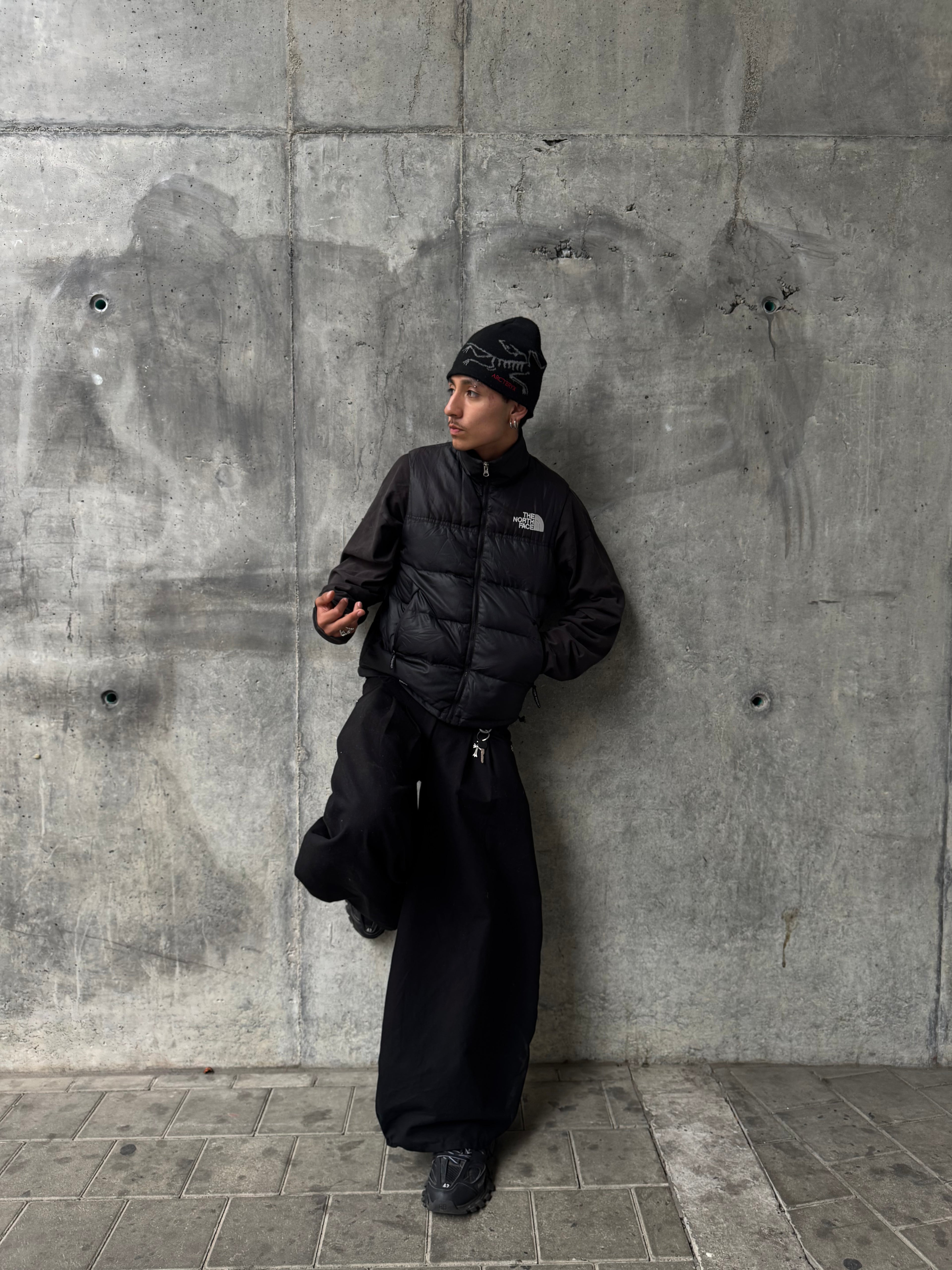 CHALECO THE NORTH FACE 800 OG LOGO CLÁSICO 2000s EN PLUMAS 🪶