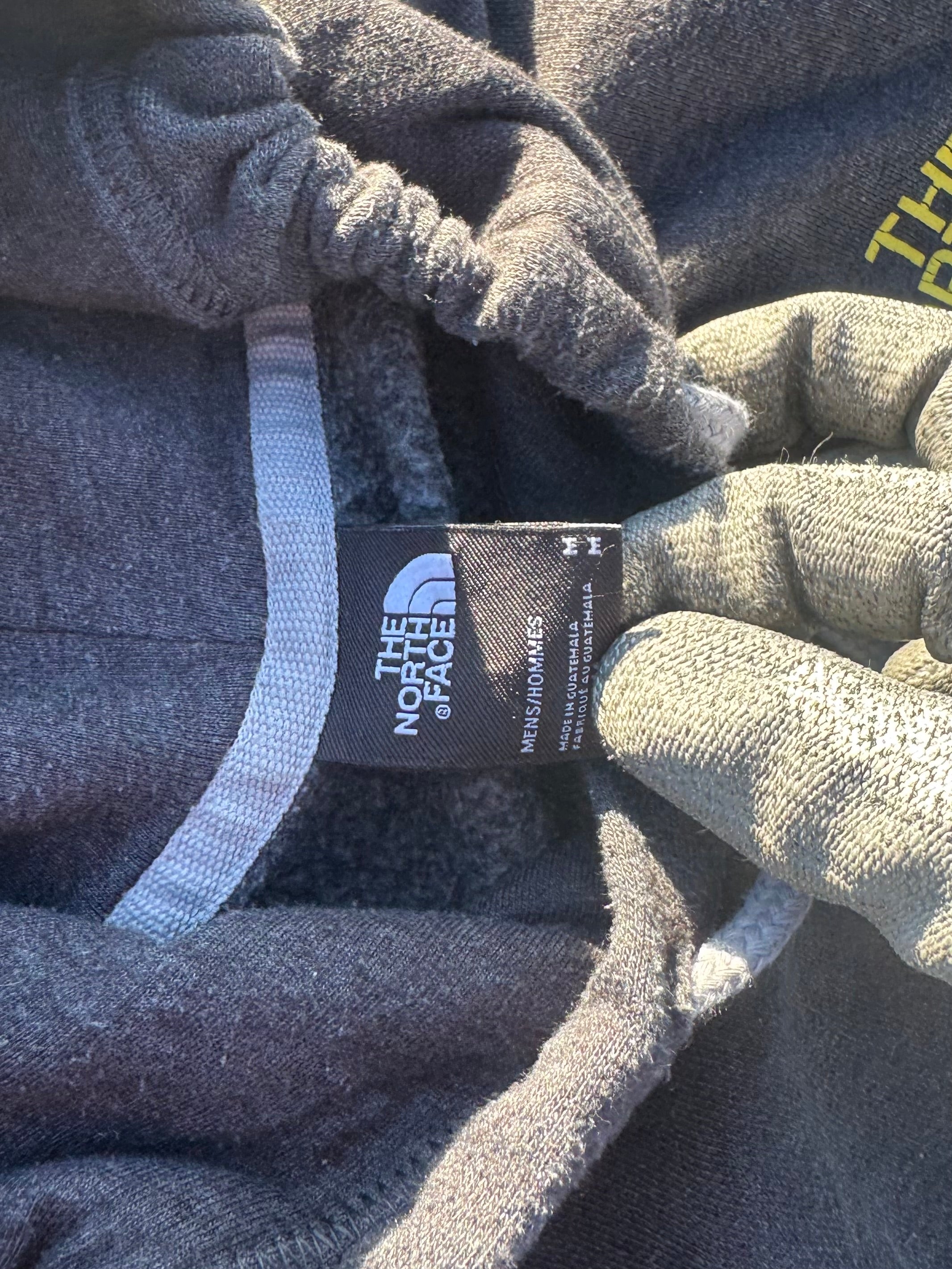 HOODIE THE NORTH FACE BIG LOGO